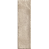 SCANDIANO OCHRA ELEWACJA 24,0X6,5 GAT.1 (P.77135)