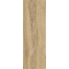GREATWOOD GOLD GRES SZKL. STRUKTURA MAT. 20X60 GAT.1 (P.77157)