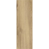 GREATWOOD GOLD GRES SZKL. STRUKTURA MAT. 20X60 GAT.1 (P.77157)