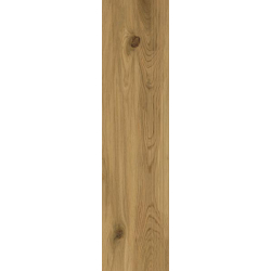 FREELAND GOLD STOPNICA NACINANA MAT. 29,8X119,8 GAT.1 (P.77341)