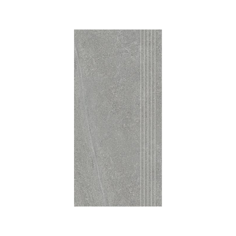 NATURAL ROCKS SILVER STOPNICA PROSTA NACINANA MAT. 29,8X59,8 GAT.1 (P.50791)