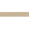 A4H103 SCOZZENSE FRASSINO MAT 20X120 REKT. GAT.1 (P.77571)