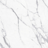 A4H455 STATUARIO SUPERIORE MAT 120X120 REKT. GAT.1 (P.77655)