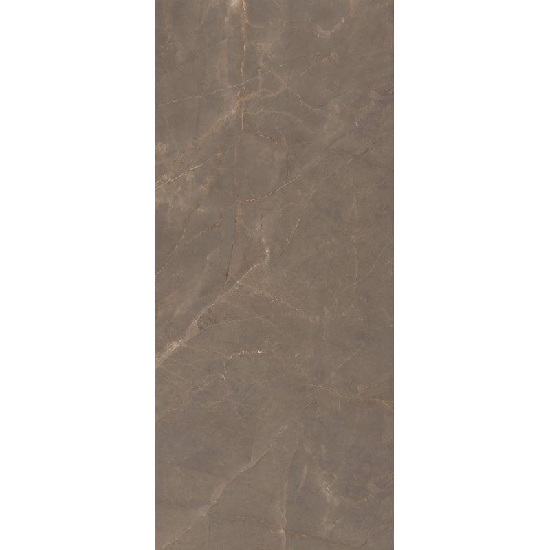 A4H824 OMANI OUD POŁYSK 120X280 REKT. GAT.1 (P.77443)