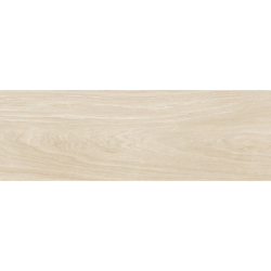 ADA HAYA MAT 20X60 GAT.1 (P.77795)
