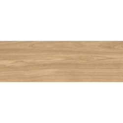 ADA MIEL MAT 20X60 GAT.1...