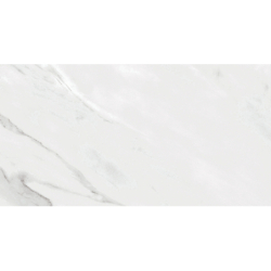 AGORA BLANCO POŁYSK 31,6X60 GAT.1 (P.79411)
