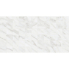AGORA RLV BLANCO POŁYSK 31,6X60 GAT.1 (P.79409)