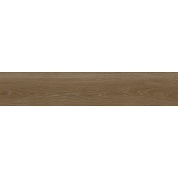 AOKI TEKA MAT 23X120 GAT.1 (P.79465)