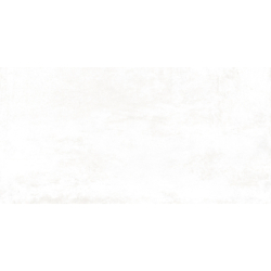 ARGON BLANCO MAT 60X120...