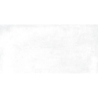 ARGON BLANCO MAT 30X60 REKT. GAT.1 (P.79355)
