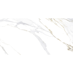 AURORA GOLD POLER 60X120 REKT. GAT.1 (P.79389)