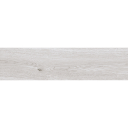 BELLVER GRIS MAT 25X100...