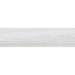 BELLVER GRIS MAT 25X100 GAT.1 (P.79459)