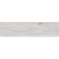 BELLVER GRIS MAT 25X100 GAT.1 (P.79459)