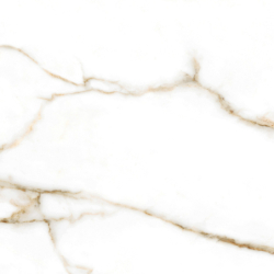 BRERA GOLD POLER 60X60 REKT. GAT.1 (P.79615)
