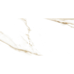 BRERA GOLD POLER 60X120...