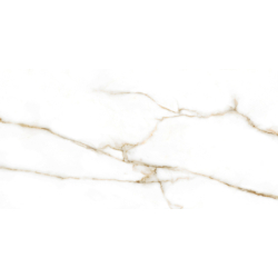 BRERA GOLD POLER 60X120 REKT. GAT.1 (P.79609)