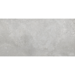 CARNABY GRIS MAT 60X120...