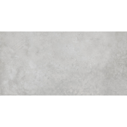 CARNABY GRIS MAT 60X120 REKT. GAT.1 (P.79493)
