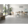 COLORADO BLANCO MAT 60X120 REKT. GAT.1 (P.79305)