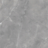 DAGMA GRIS POŁYSK 60X60 REKT. GAT.1 (P.79079)