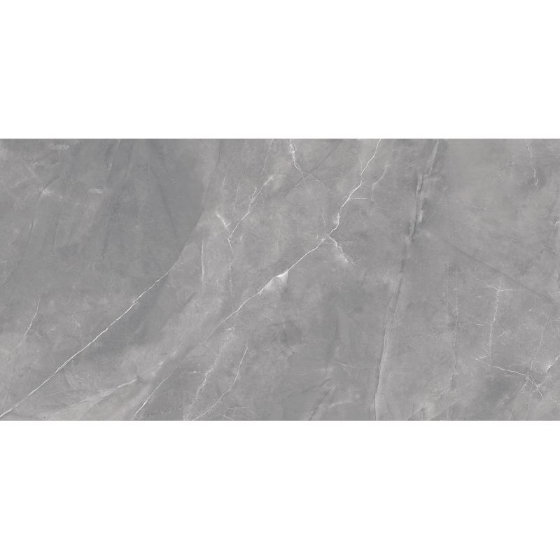 DAGMA GRIS POŁYSK 60X120 REKT. GAT.1 (P.79071)