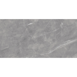 DAGMA GRIS POŁYSK 60X120 REKT. GAT.1 (P.79071)