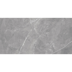 DAGMA GRIS POŁYSK 60X120 REKT. GAT.1 (P.79071)