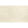 DELHI MARFIL POŁYSK 33,3X55 GAT.1 (P.79257)