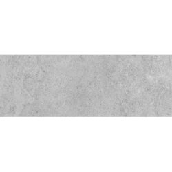 DERRY GRIS MAT 25X70 GAT.1 (P.79287)