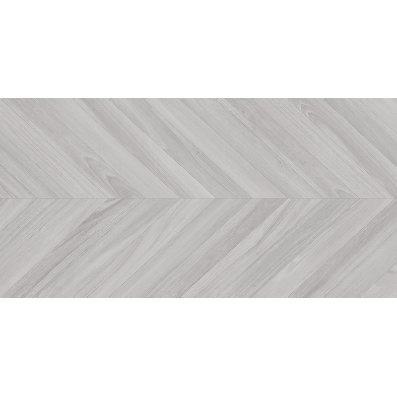 EBONY GRIS MAT 60X120 REKT. GAT.1 (P.79293)