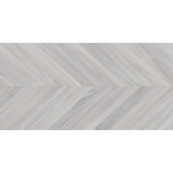 EBONY GRIS MAT 60X120 REKT. GAT.1 (P.79293)