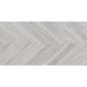 EBONY GRIS MAT 60X120 REKT. GAT.1 (P.79293)