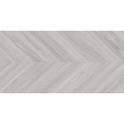 EBONY GRIS MAT 60X120 REKT. GAT.1 (P.79293)
