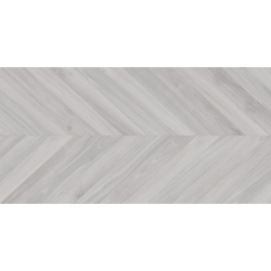 EBONY GRIS MAT 60X120 REKT. GAT.1 (P.79293)
