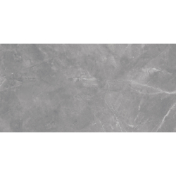 ELBERT GRIS MAT 60X120 REKT. GAT.1 (P.79197)