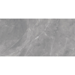 ELBERT GRIS MAT 60X120 REKT. GAT.1 (P.79197)