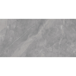ELBERT GRIS MAT 60X120 REKT. GAT.1 (P.79197)
