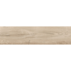 FREYA BEIGE MAT 25X100 GAT.1 (P.79239)