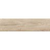 FREYA BEIGE MAT 25X100 GAT.1 (P.79239)