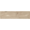 FREYA BEIGE MAT 25X100 GAT.1 (P.79239)