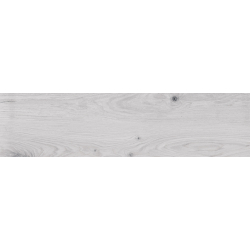 FREYA GRIS MAT 25X100 GAT.1...