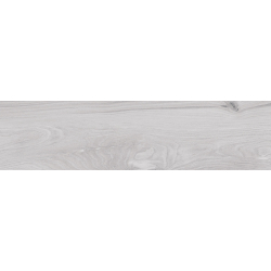 FREYA GRIS MAT 25X100 GAT.1 (P.79233)