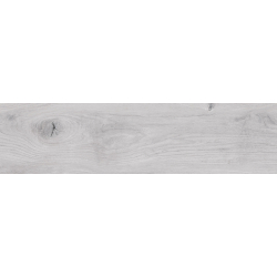 FREYA GRIS MAT 25X100 GAT.1 (P.79233)