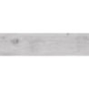 FREYA GRIS MAT 25X100 GAT.1 (P.79233)
