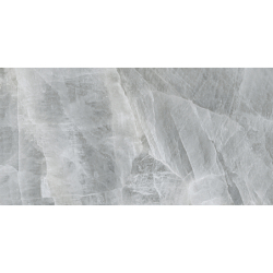 FROZEN GREY POLER 60X120 REKT. GAT.1 (P.79229)