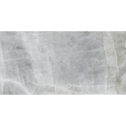 FROZEN GREY POLER 60X120 REKT. GAT.1 (P.79229)