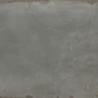 GALIO GRIS LAPPATO 120X120 REKT. GAT.1 (P.79219)