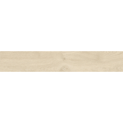 LENOX HAYA MAT 20X120 REKT. GAT.1 (P.80227)
